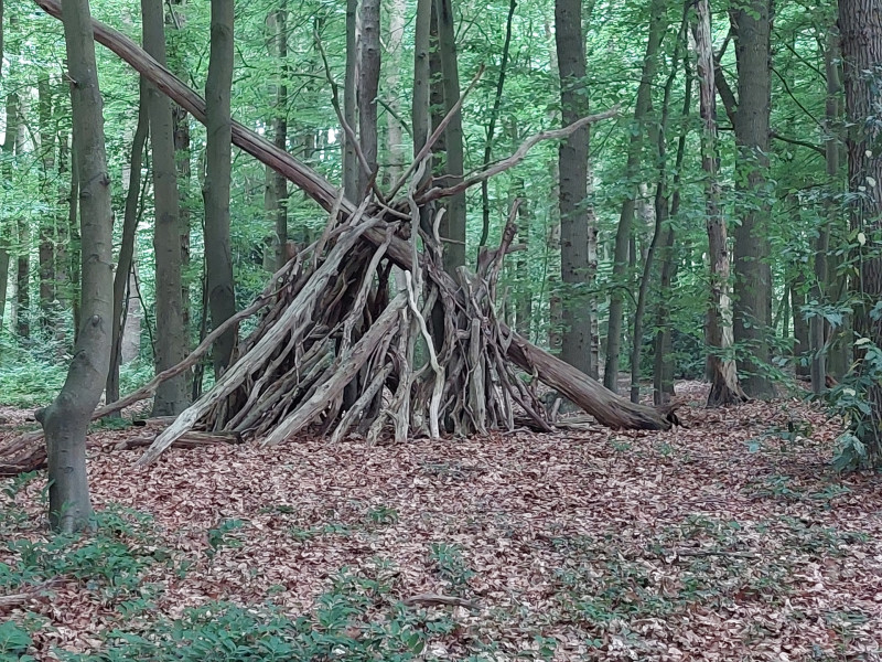 Fluisteringen van de natuur