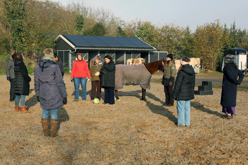 Multidimensionale opstelling met paarden / nabij Breda VOL