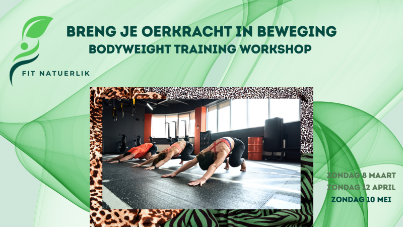 Workshop Bodyweight Training (Animal Flow geïnspireerd) - Playfulness, Health, Body Awareness