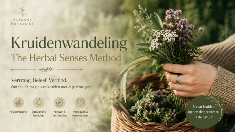 Kruidenwandeling | The Herbal Senses Method