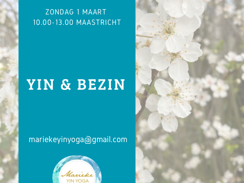 Yin & Bezin
