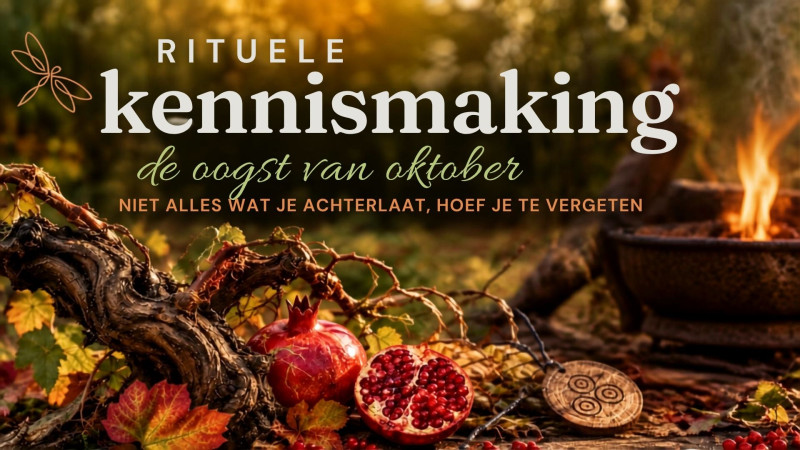 Niet alles wat je achterlaat, hoef je te vergeten.