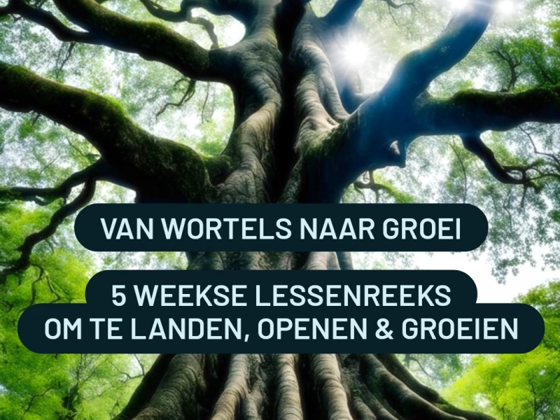 Van Wortels naar Groei