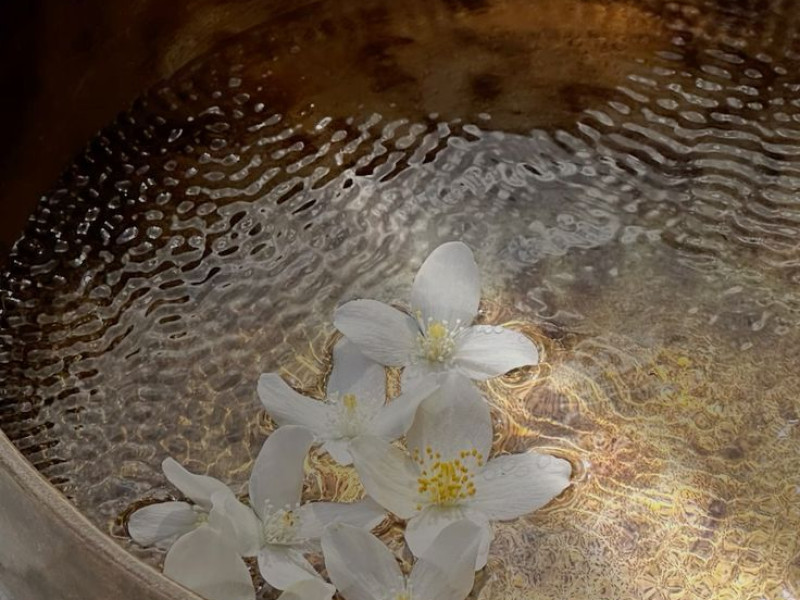 SOUND JOURNEY & MEDITATIE