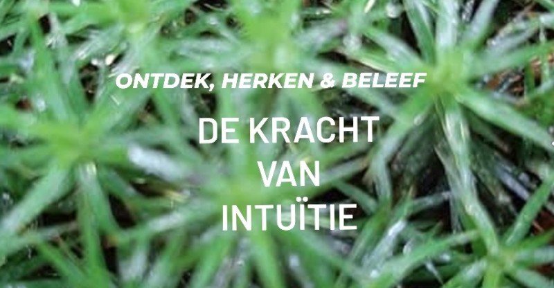 De kracht van intuitie