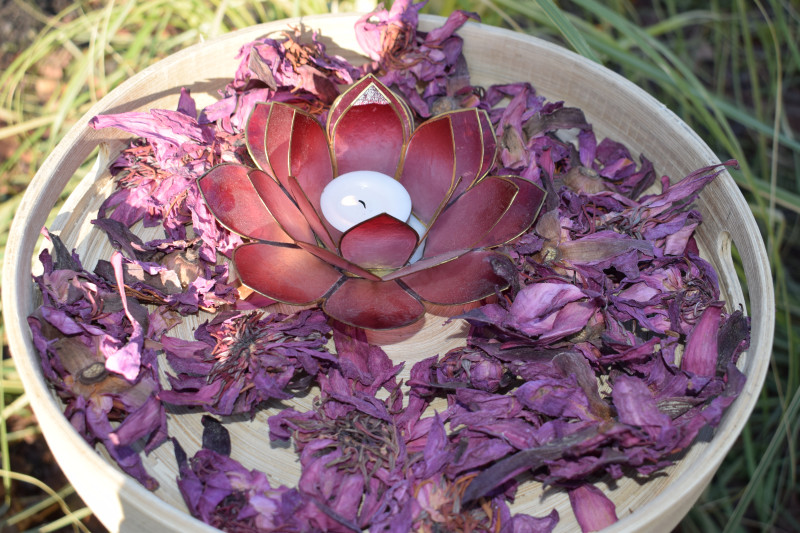Cacao en Rode Lotusthee ceremonie