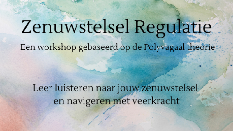 Zenuwstelsel Regulatie,  de Polyvagaal theorie in de praktijk