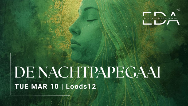 DE NACHTPAPEGAAI | EDA @ Loods12 - Ecstatic Dance, Conscious Dance, Intuitive Dance