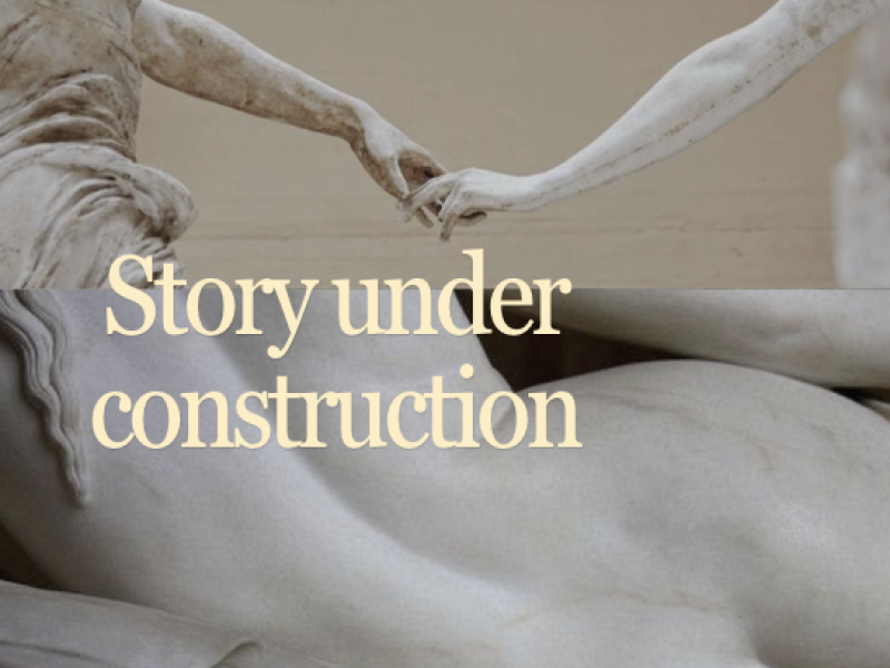 Story under construction - THE ART OF PASSION