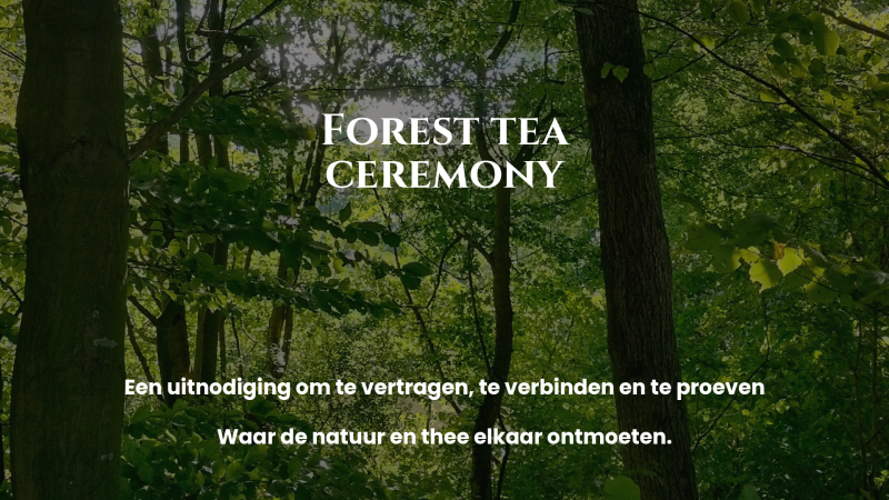 Forest Tea Ceremony