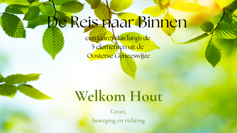 De reis naar binnen - Via Do-In en de 5 Elementen. Welkom Hout!