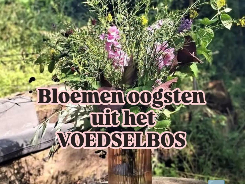 Workshop Bloemen uit het Voedselbos