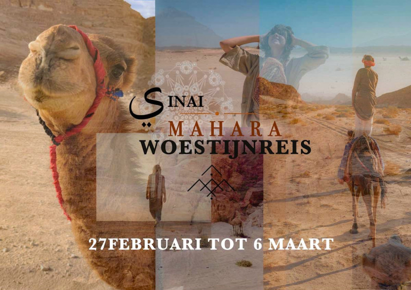 SINAI WOESTIJN REIS