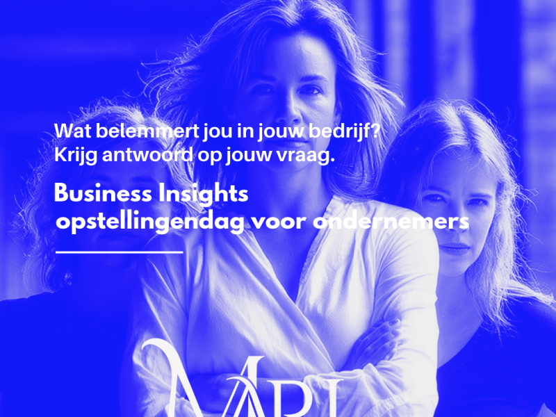 Business Insights - opstellingendag  voor ondernemers