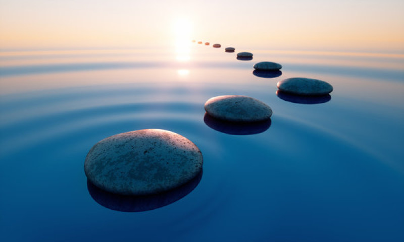 8-weekse Mindfulness Training – Start 22 september 2026