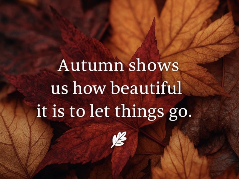 Vrouwencirkel 🍂herfst & loslaten