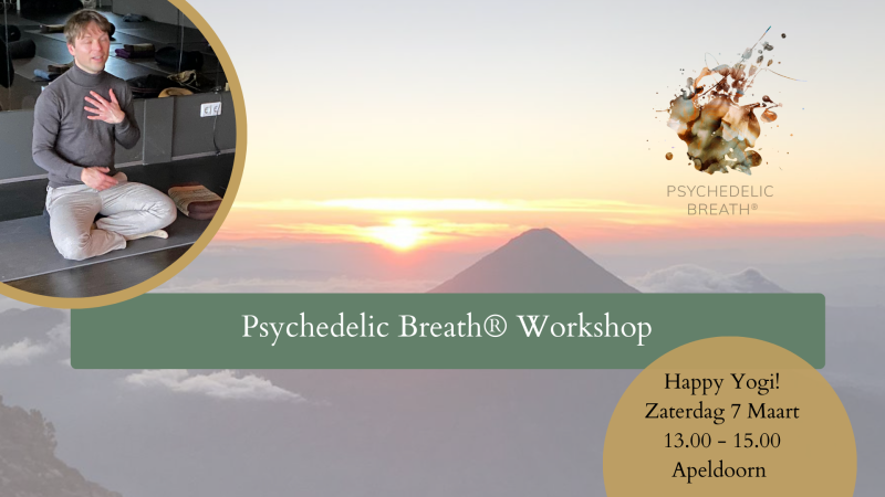 Psychedelic Breath® Workshop