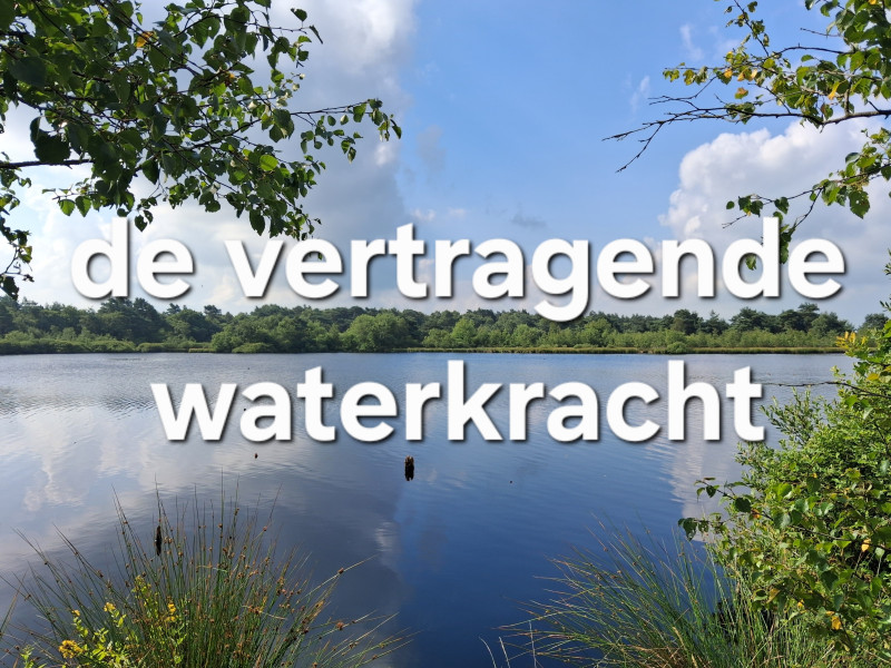 De vertragende waterkracht ~ Zomer TAO miniretraite~ - Taoïsme, Qi Gong, Meditatie