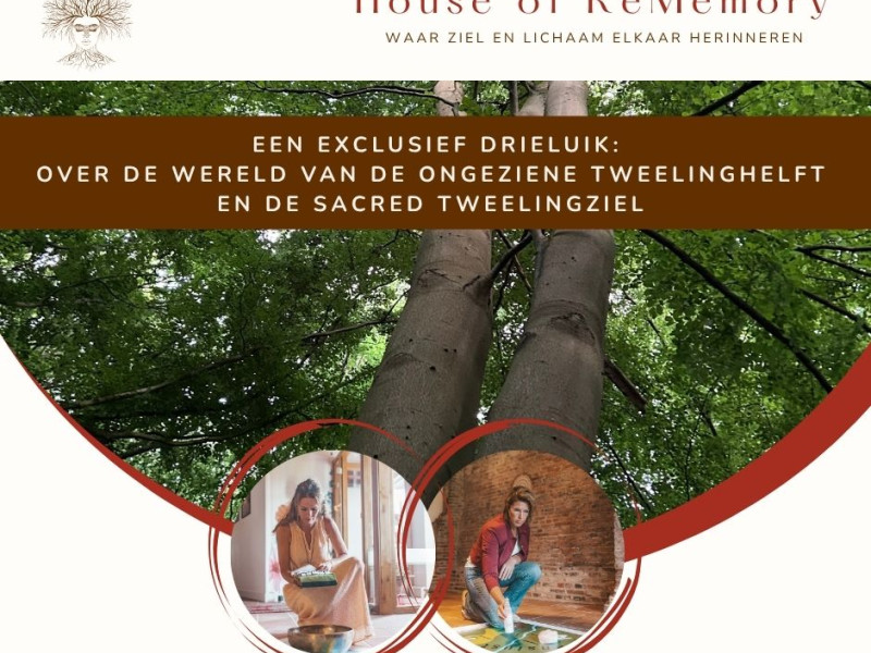 Een drieluik: De ongeziene tweelinghelft en de sacred tweelingziel - Guérison, Développement de la conscience, Conscience corporelle