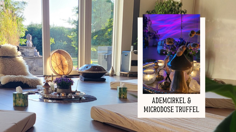 Ademcirkel & Microdose Truffel - Ademcirkel, Plantmedicijn, Innerlijke Reis