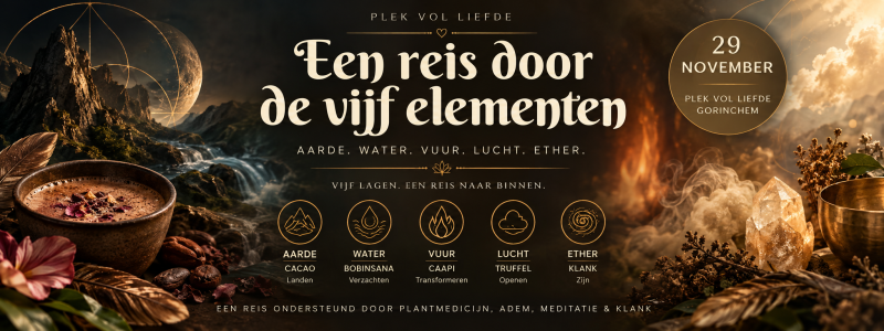 een reis door de vijf elementen - Vijf elementen. Vijf lagen. Eén reis
