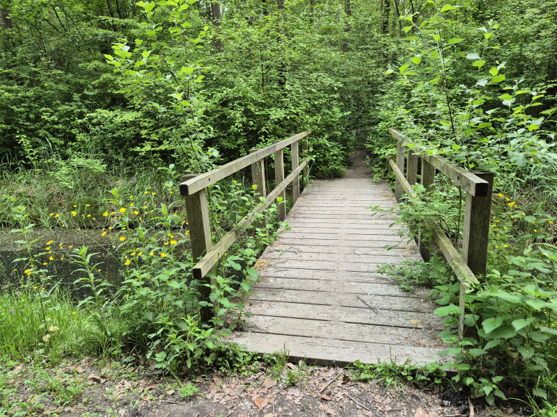 Verken jezelf wandeling 