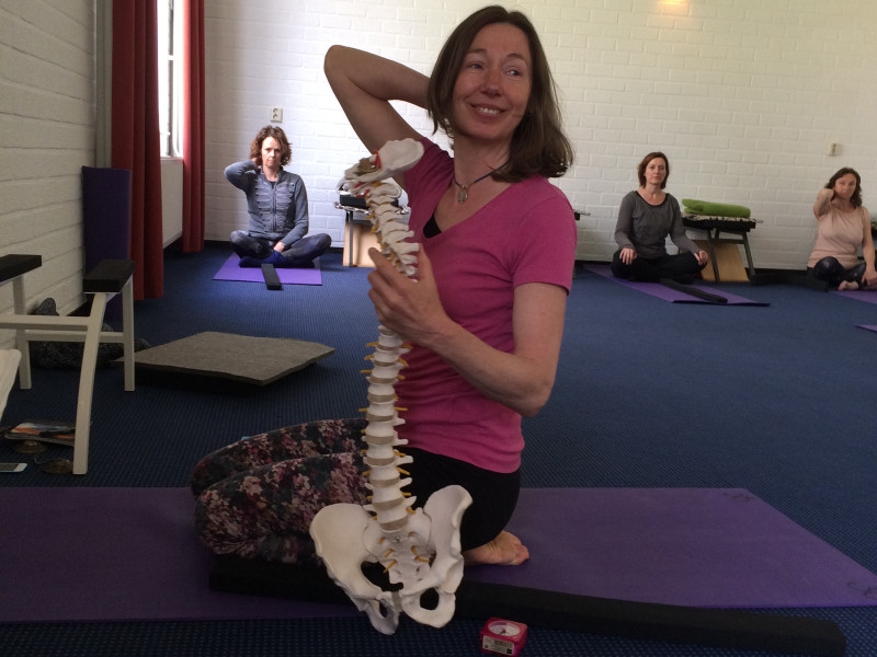 Critical Alignment Yoga Intensive
