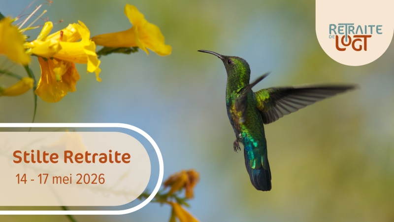 Stilte Retraite Hemenvaart (4-daagse)- Nog 1 plekje!