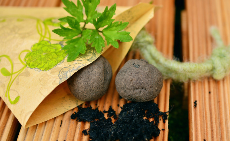 MOESTUINIEREN VOOR KINDEREN - zaadbollen maken (workshop) - Nature, Atelier pour enfants, Activité pour enfants