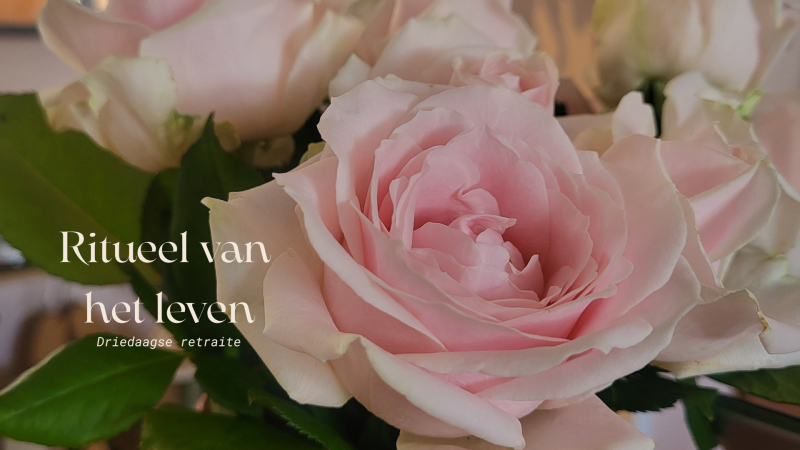 Ritueel van het leven - Driedaagse retraite - Rite of the Womb