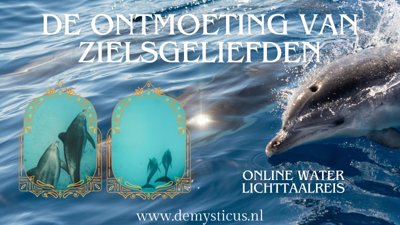 De ontmoeting van jouw zielsgeliefde - Water lichttaalreis