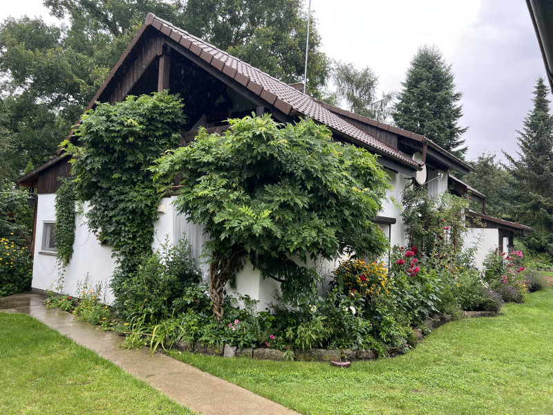 Zen & Flow Vrouwen Retreat – Polen - Multi-day Retreats, Meditation, Yoga