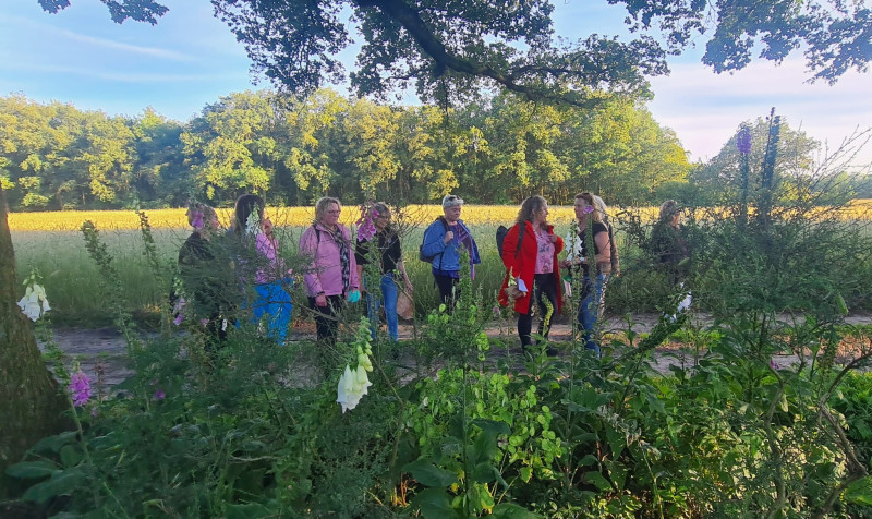 Kruidenwandeling & Workshop Oud-Avereest