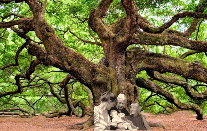 Zomerworkshop Familieopstellingen in het Maanhuis