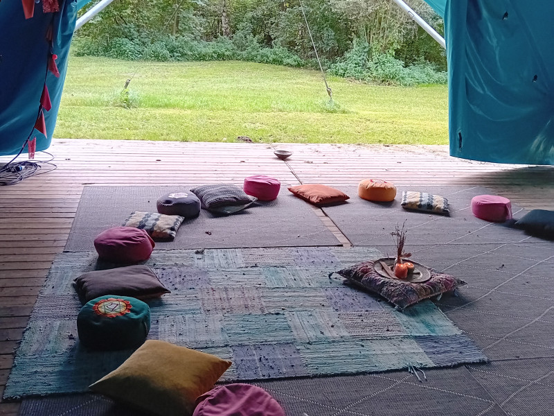 Roots yoga - een combi van yin yoga en systemisch werk