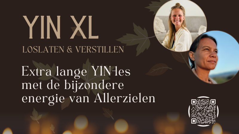 YIN XL