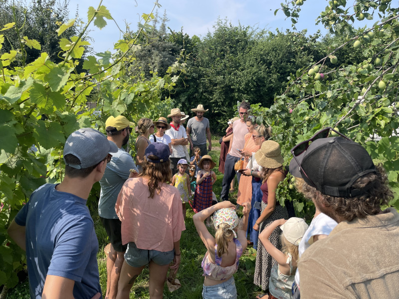 Wildplukken en koken in het voedselbos de nieuwe hof - Nature, Cuisine, Herbes