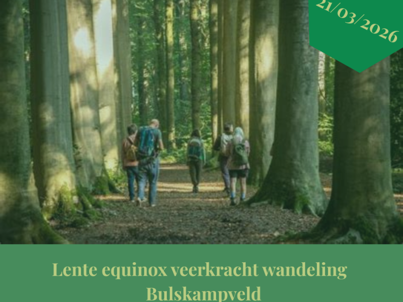 Bosbad | Lente Equinox Veerkrachtwandeling