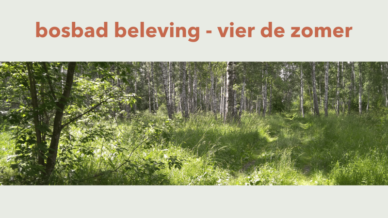 Bosbadbeleving - Vier de zomer - Bosbad - Shinrin Yoku, Ontspanning, Natuur