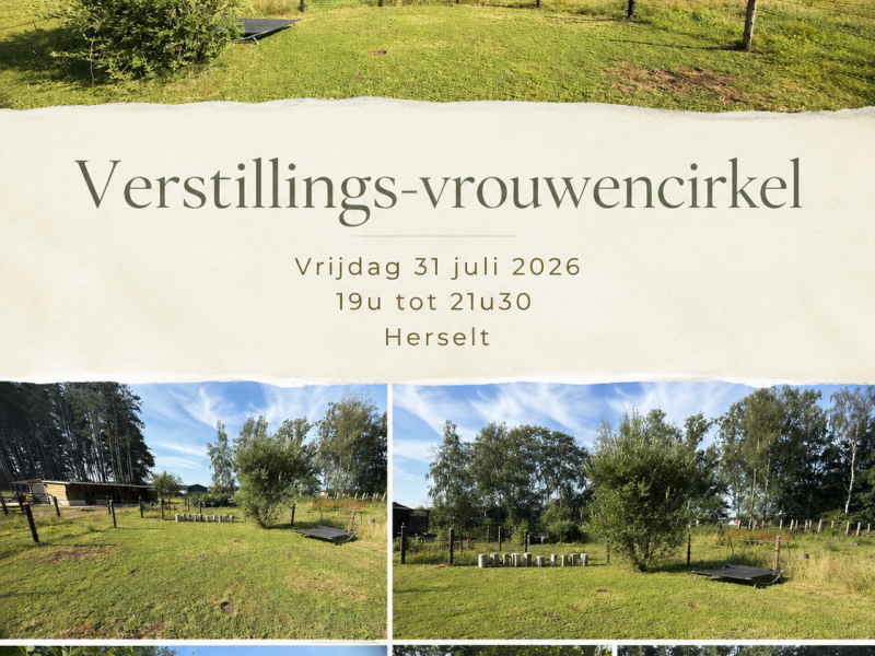 Verstillings-vrouwencirkel
