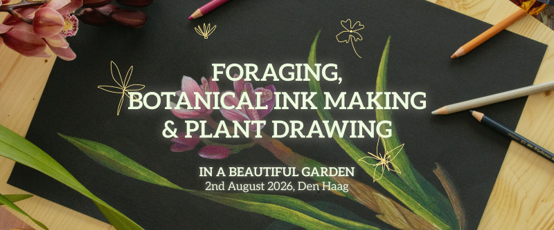 Foraging, botanical watercolor making and plant drawing