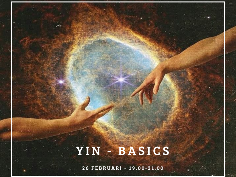 YIN Basics - Yoga