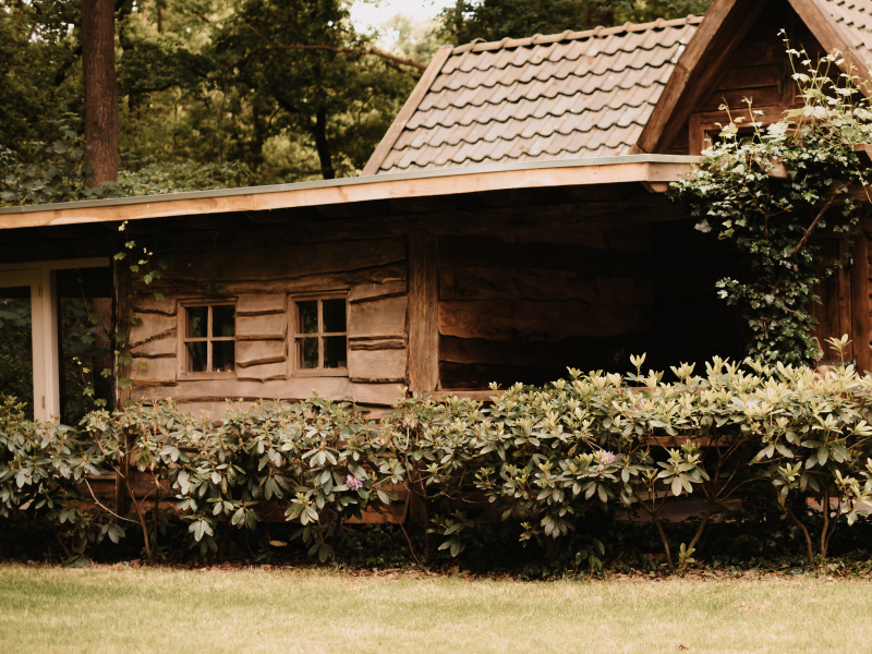 Half-day Retreat • Return to your inner calm  - Mini retraite in de natuur, Cacao ceremonie, Klankschalen