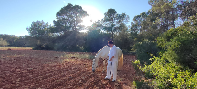Sunset Horse Ritual IBIZA