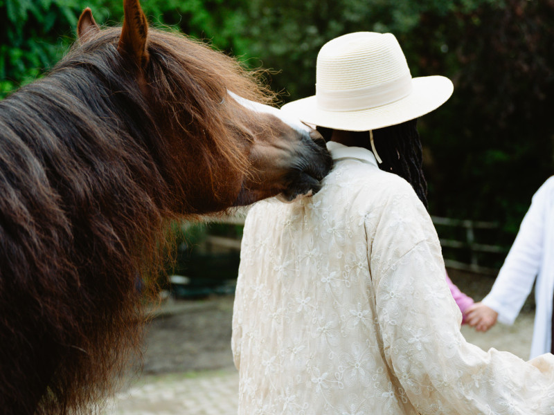 Wild Bloom Equine Retraite