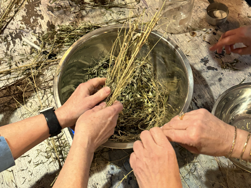 Workshop botanisch verven in Rotterdam - verf je eigen sjaal en tas - Creatividad, Talleres para mujeres