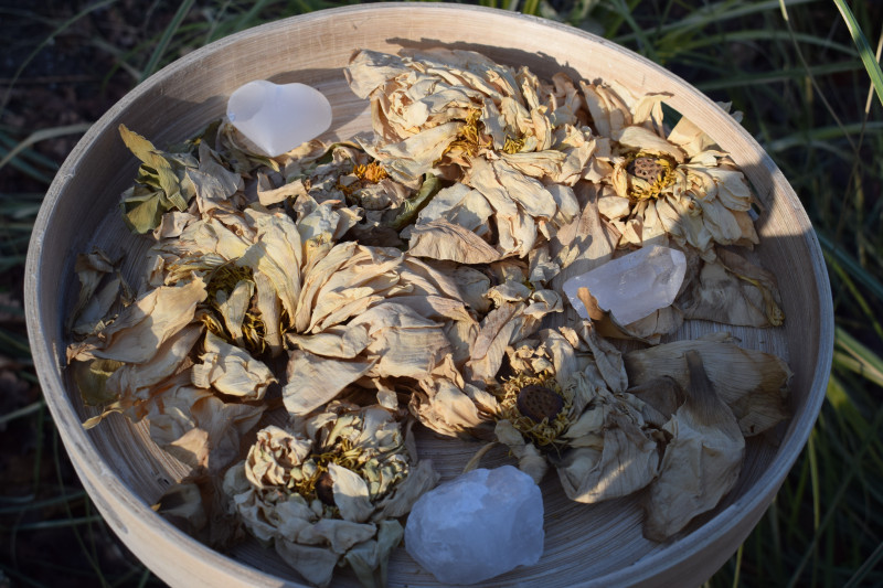 Cacao en Witte Lotusthee ceremonie in een yurt.