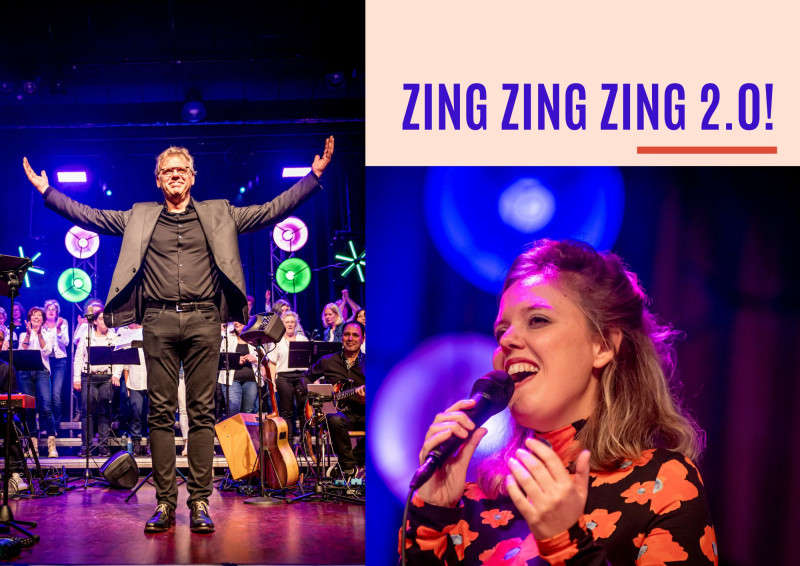 ZING ZING ZING 2.0