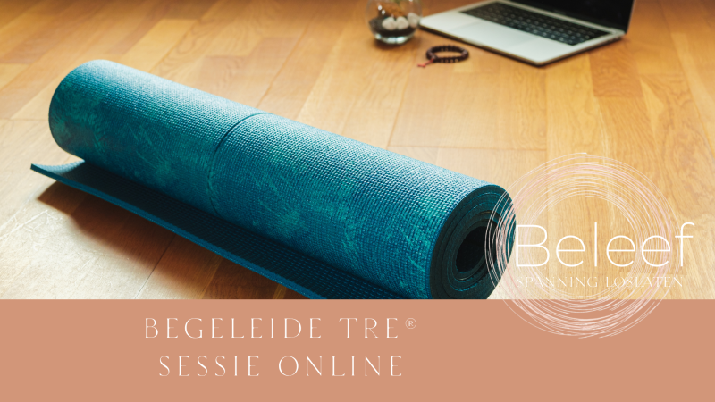 TRE® Online: begeleide sessie