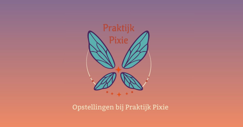 Opstellingenochtend Praktijk Pixie
